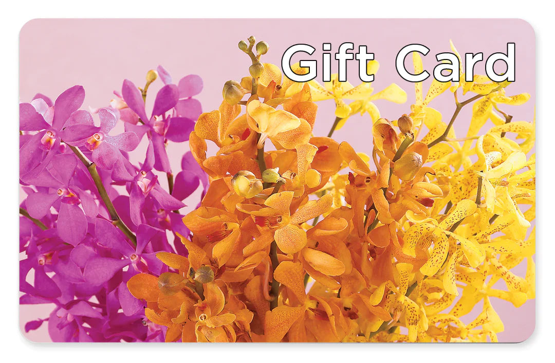Gift Card – Artistic Designs Unlimited, Marianna FL