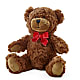 Adorable Plush Bear –  Artistic Designs Unlimited, Marianna FL