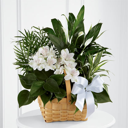 Peace & Serenity Dishgarden –  Artistic Designs Unlimited, Marianna FL