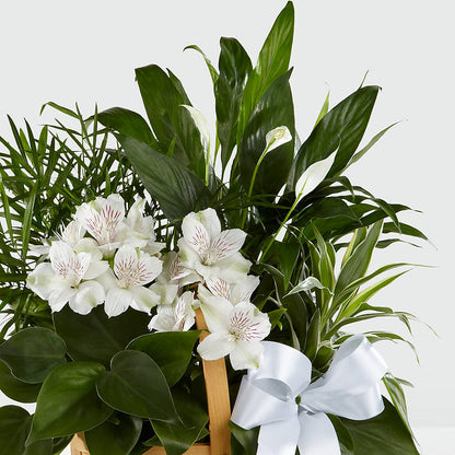 Peace & Serenity Dishgarden –  Artistic Designs Unlimited, Marianna FL