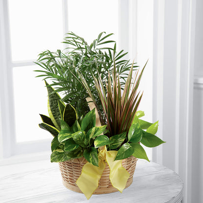 French Garden –  Artistic Designs Unlimited, Marianna FL