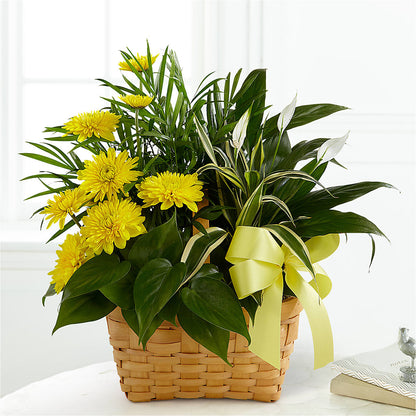 Loving Light Dishgarden –  Artistic Designs Unlimited, Marianna FL