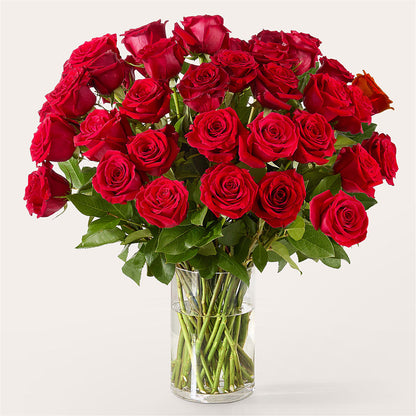 The One Red Rose Bouquet –  Artistic Designs Unlimited, Marianna FL